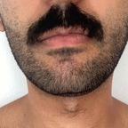 KingofPigs avatar