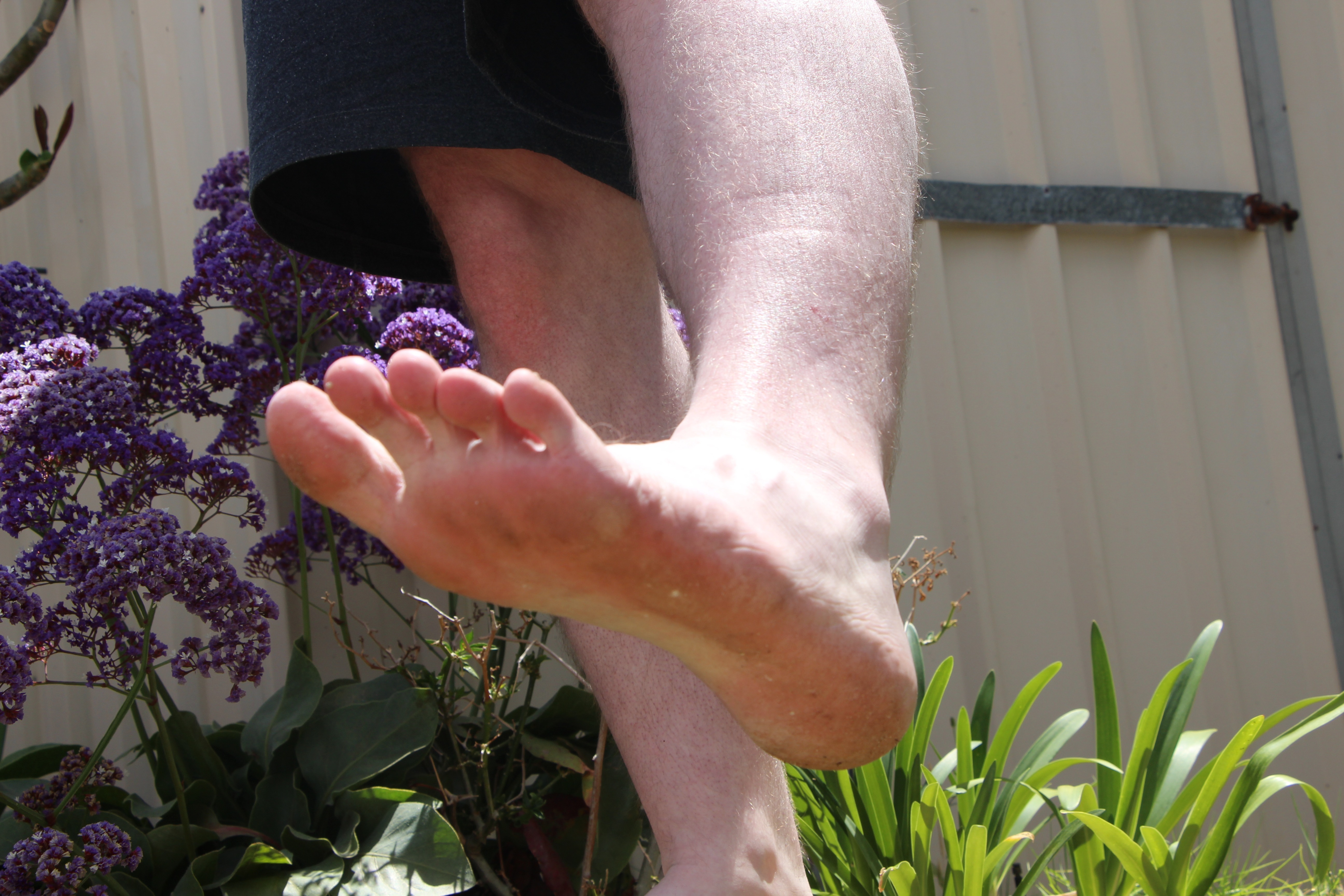 King Sized Feet banner image
