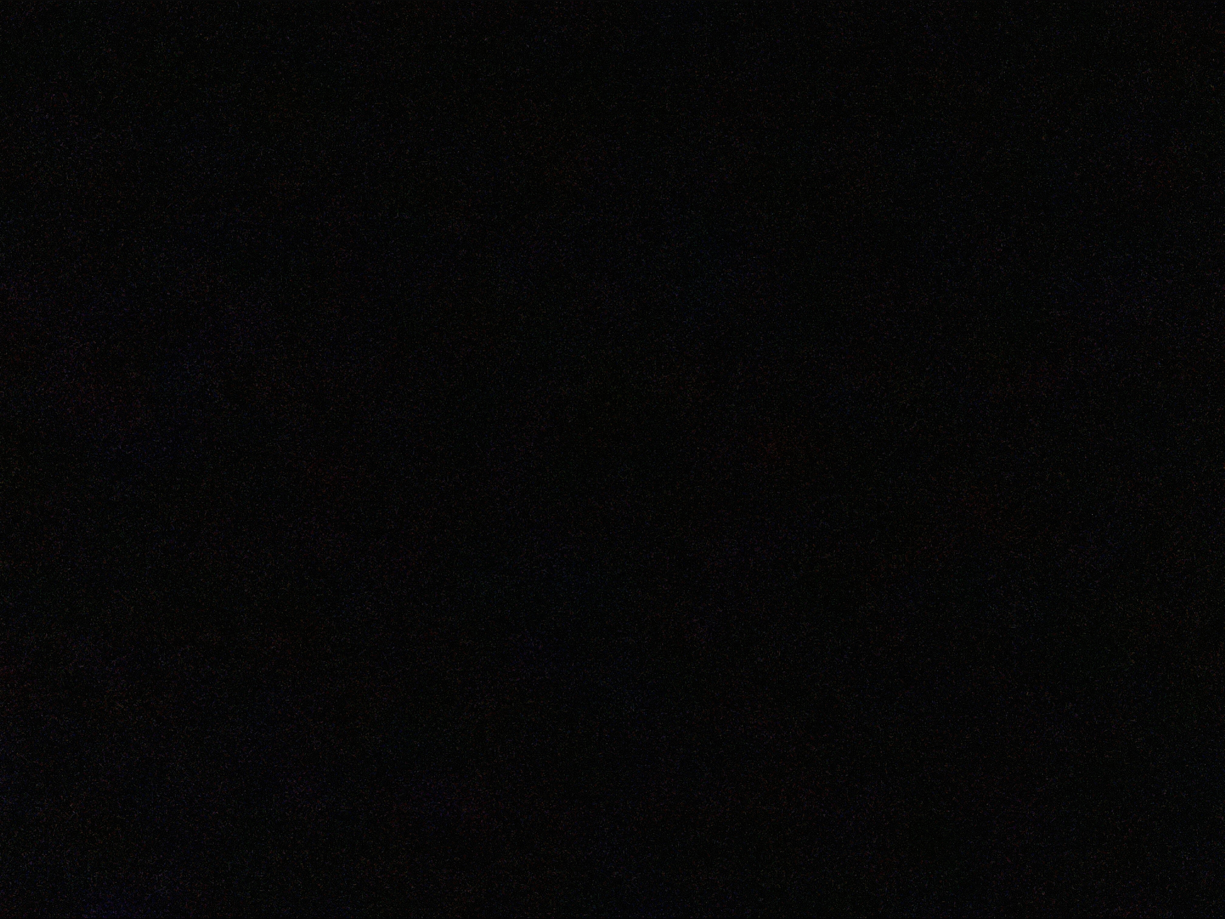 King Snoop banner image