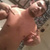 Kingsteve1420 avatar