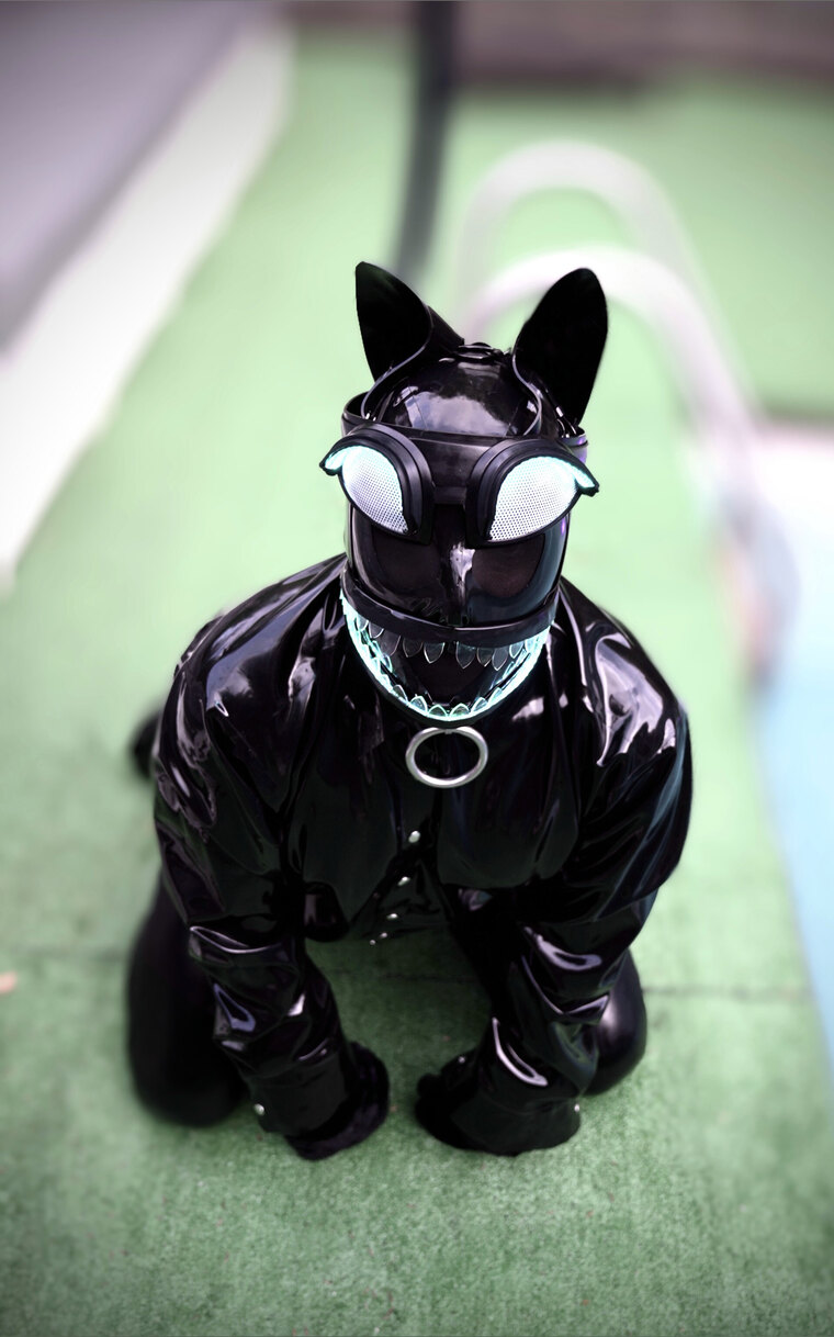 KINKCAT cover image