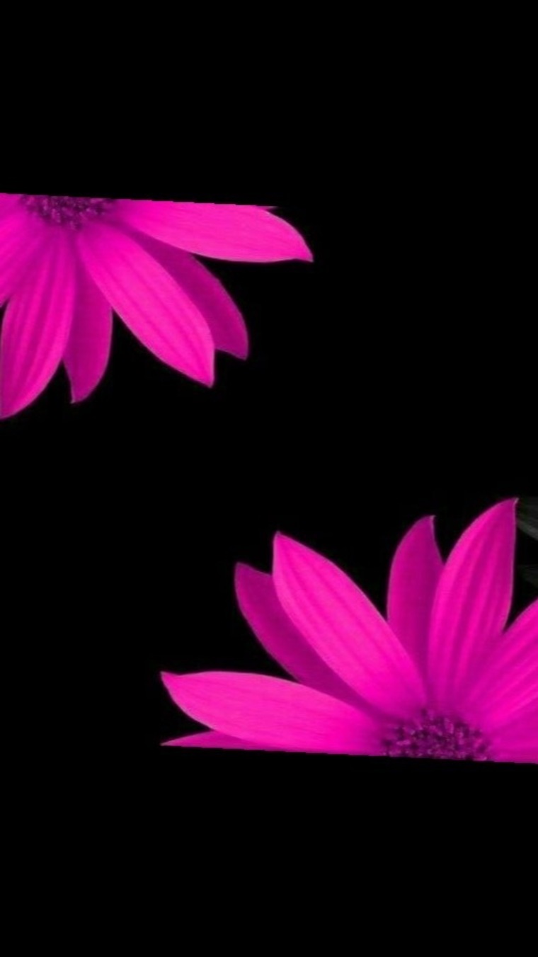 KinkLily cover image