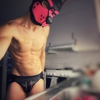 North, the Kinkster avatar
