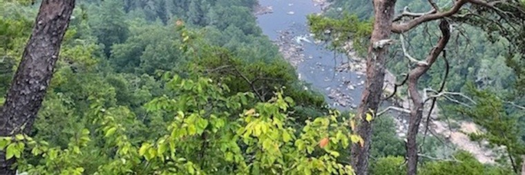 DreamHole cover image