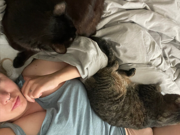 kinky_cat_lady cover image