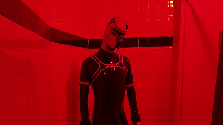 Kinky_Pup_Red cover image