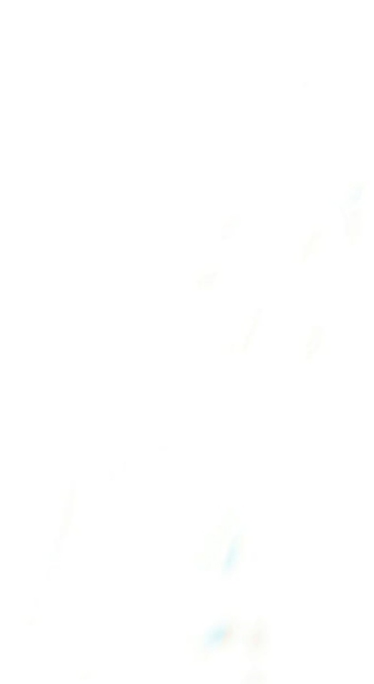 Kinky Feet banner image