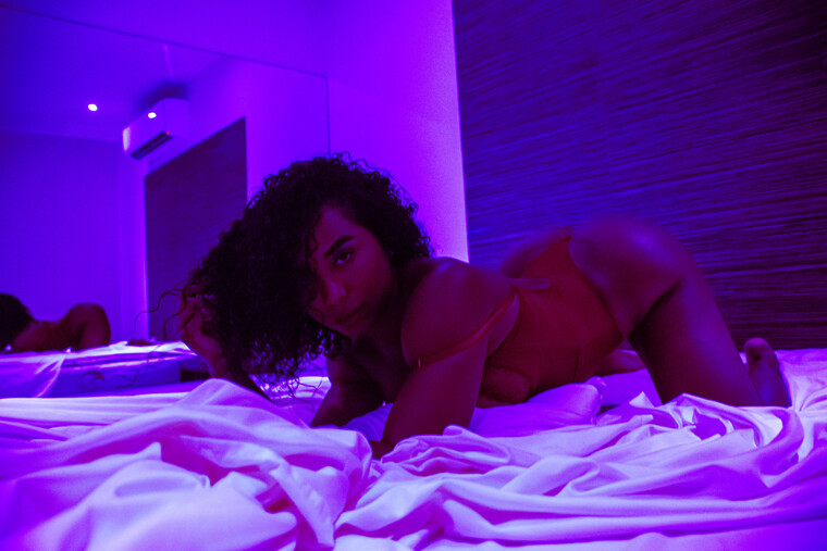 🦊 cover image