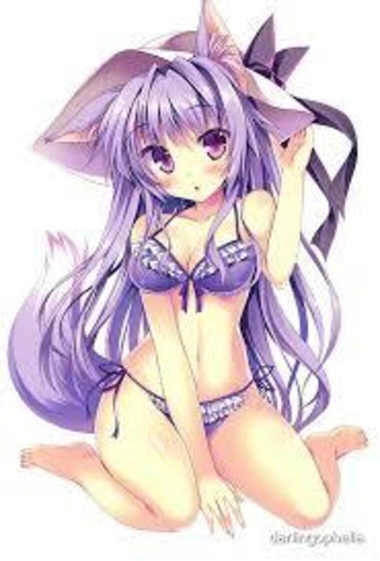 Kitten cover image