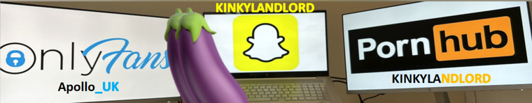 KinkyLandLord cover image