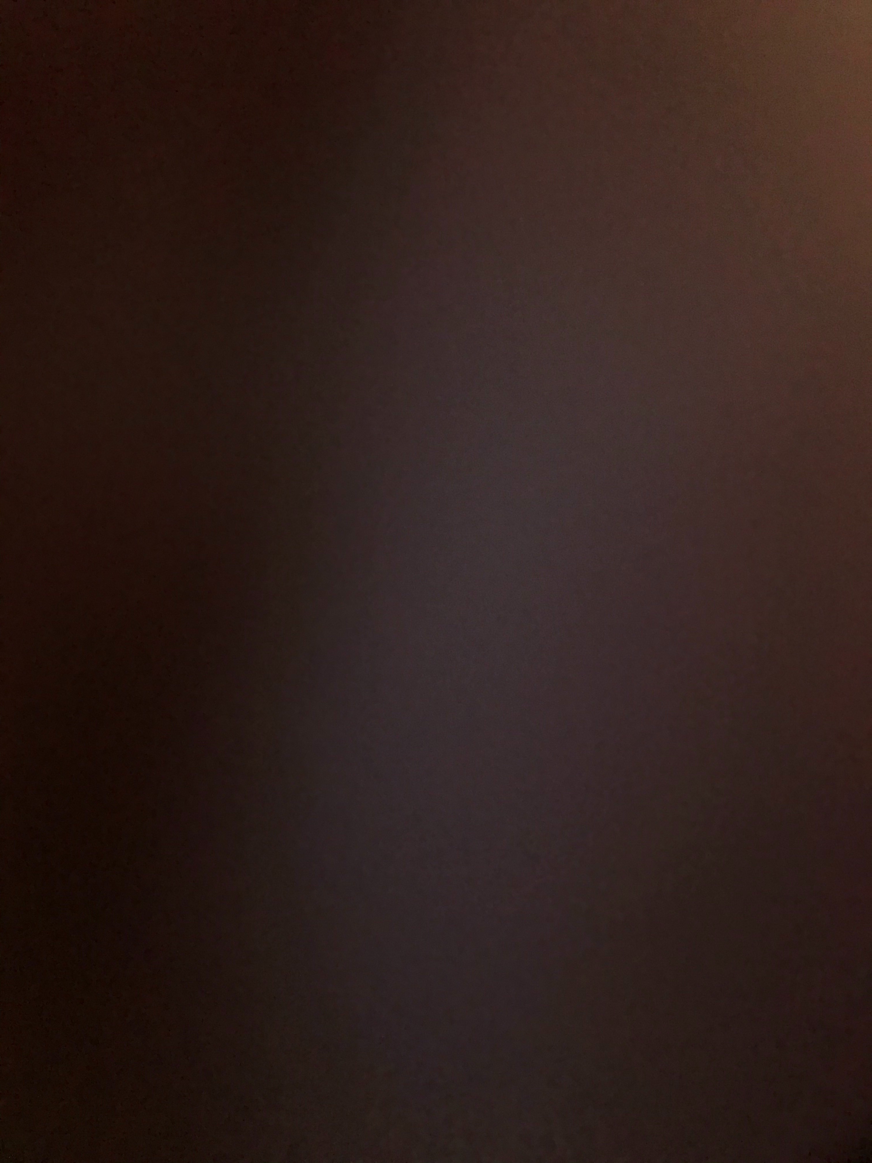 Isabella banner image
