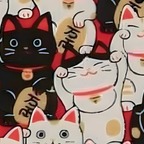 Kira avatar