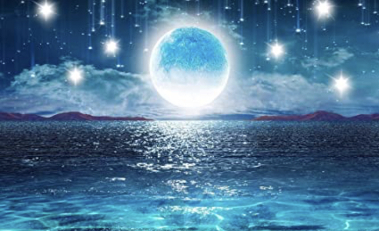 KireinaFox cover image