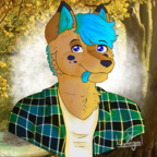 Kiro The Wolf avatar