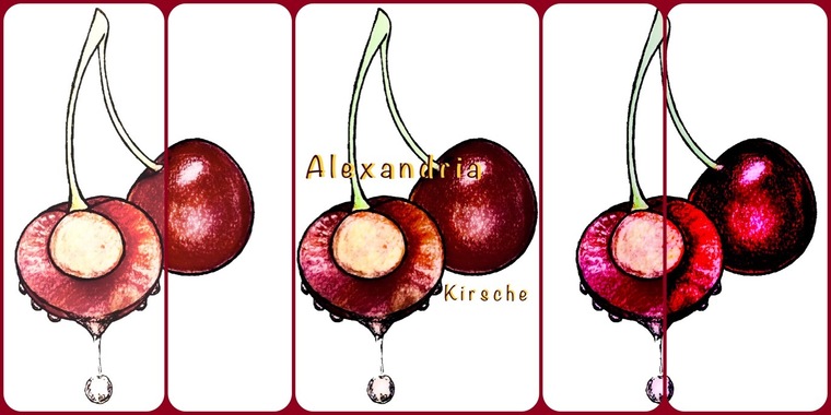 Alexandria Kirsche banner image