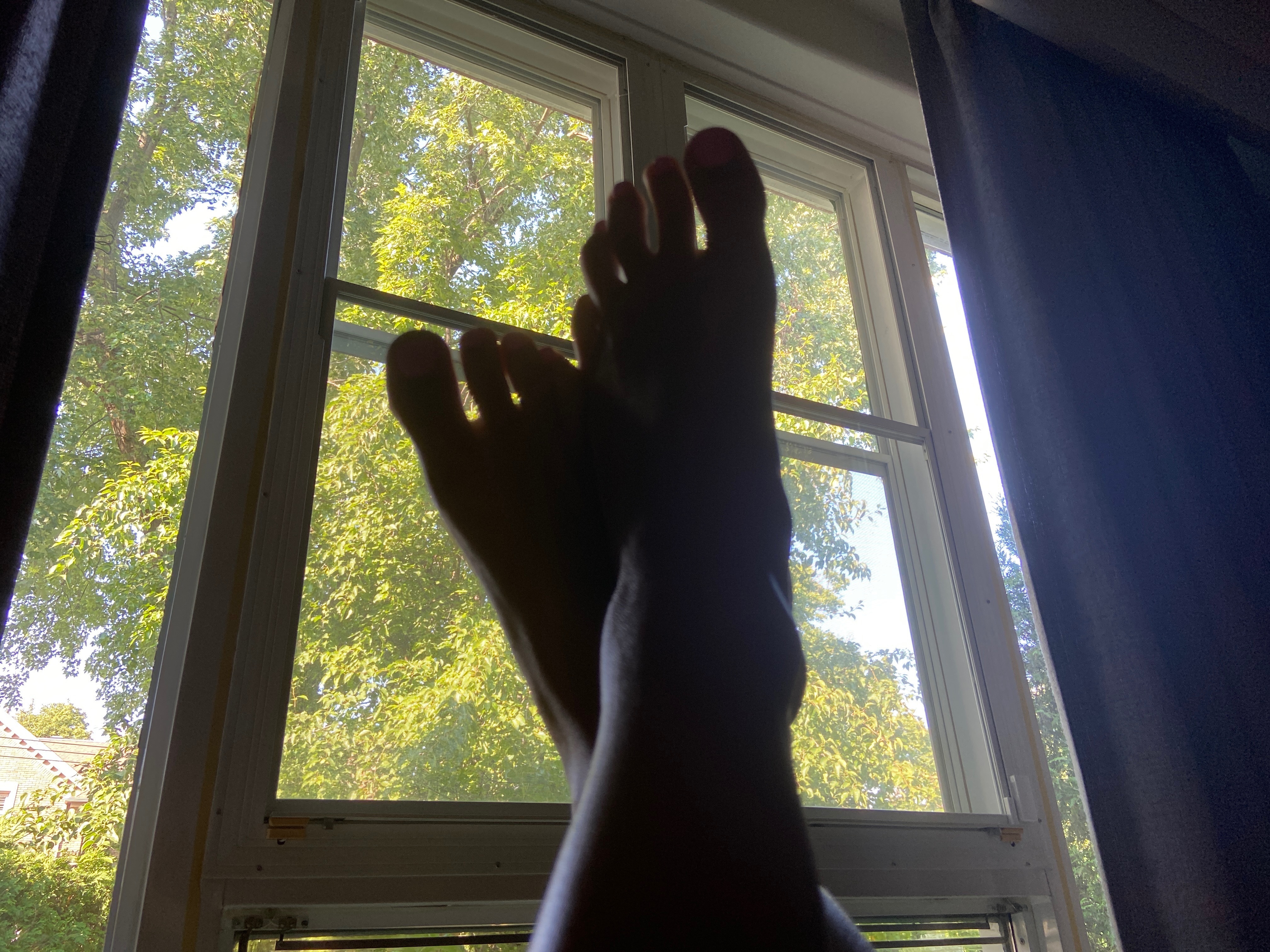 Pinky Toe π banner image