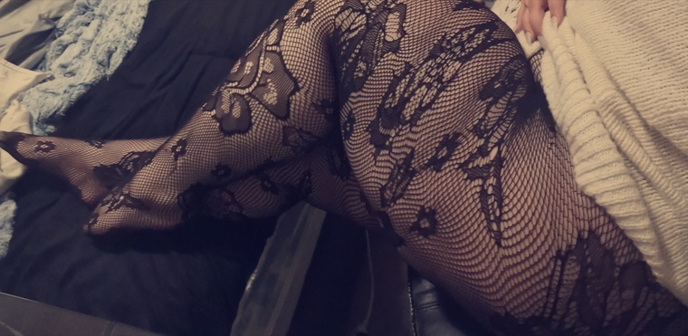 Kitten cover image