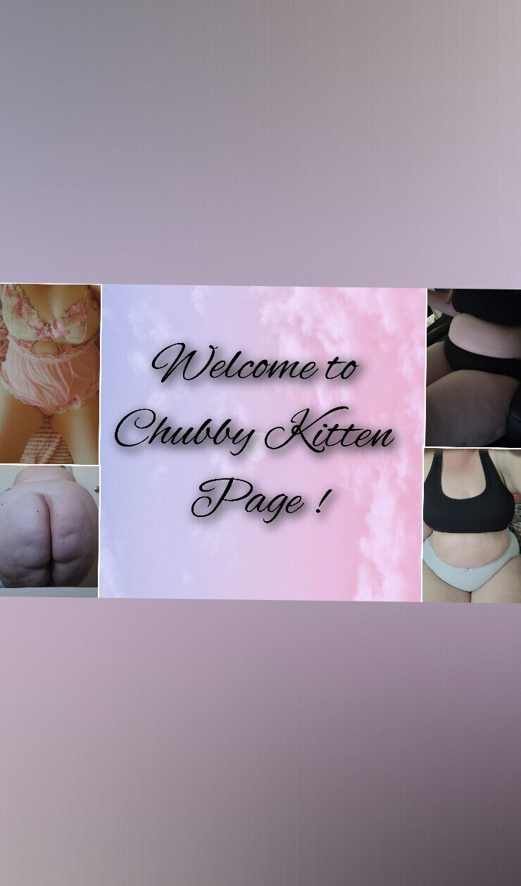 Kitten banner image