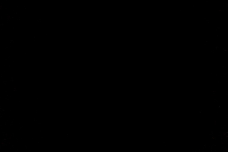 Your kitten banner image
