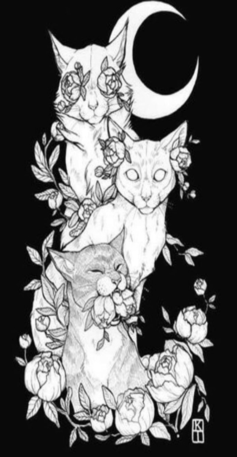 KittyPaws cover image