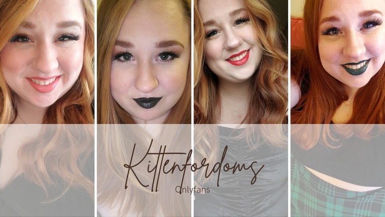 Kitten banner image