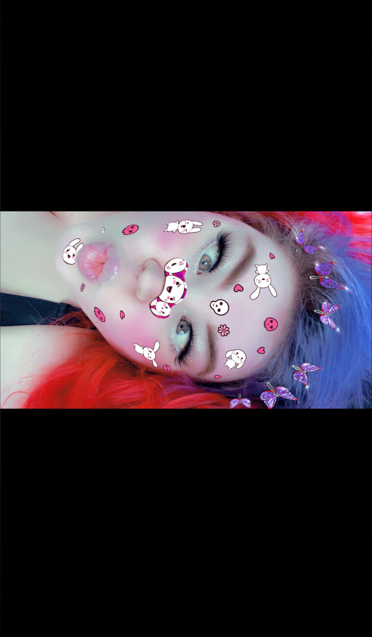 Kitten cover image