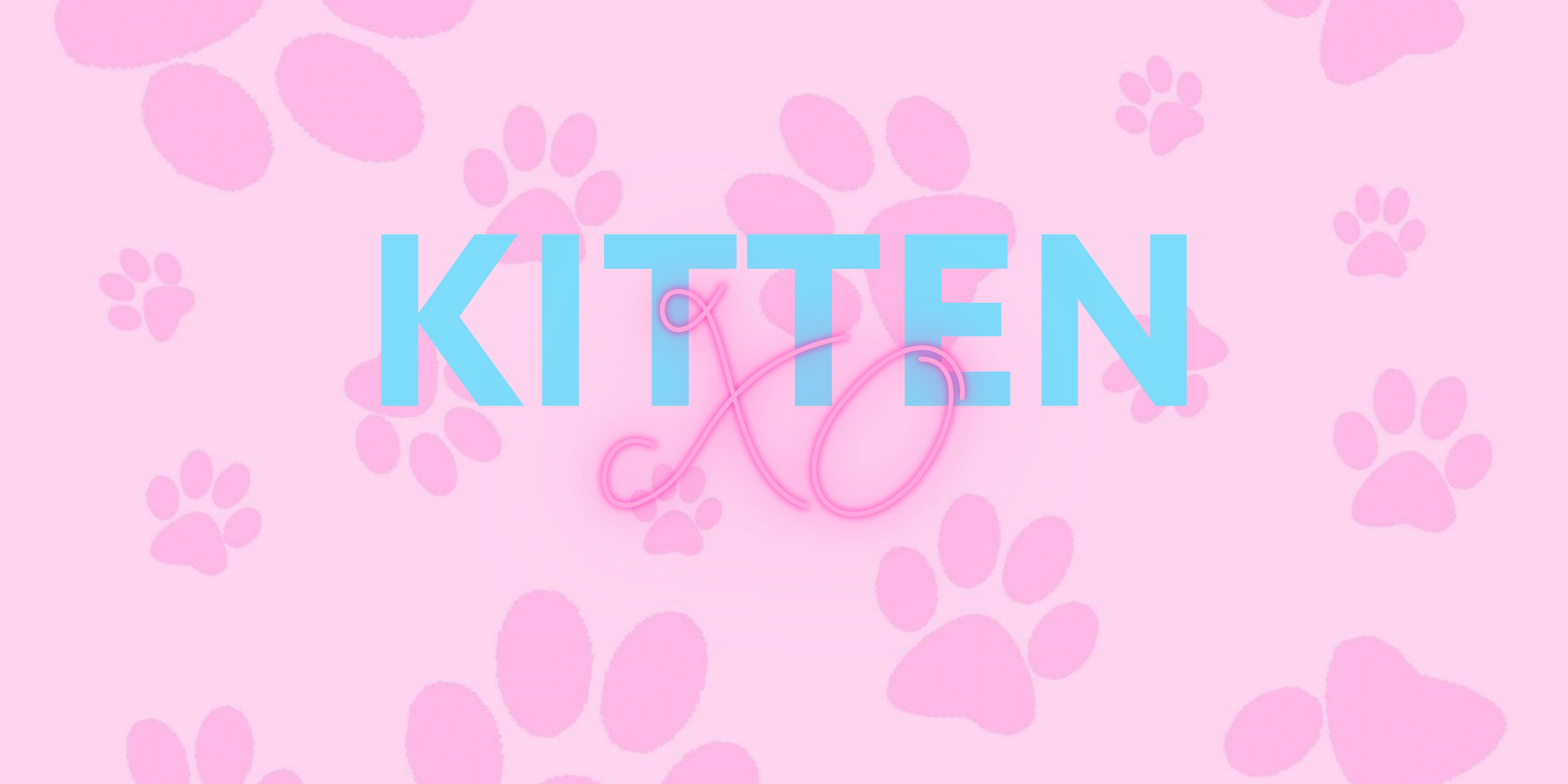Kitten💕 banner image
