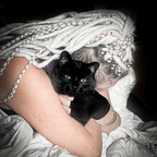 KittenSocksxoxo avatar