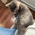 Kitticonneixxx avatar