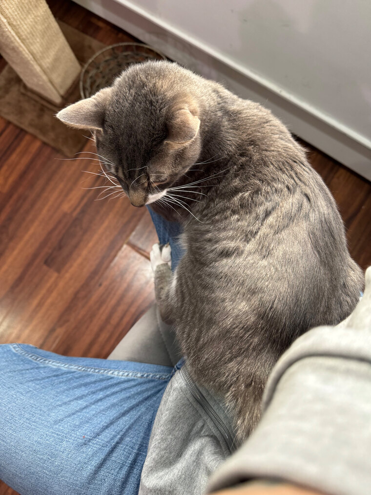Kitticonneixxx cover image