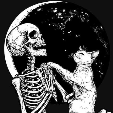 ʍօʟօȶօʋ ƈʊքƈǟӄɛ cover image