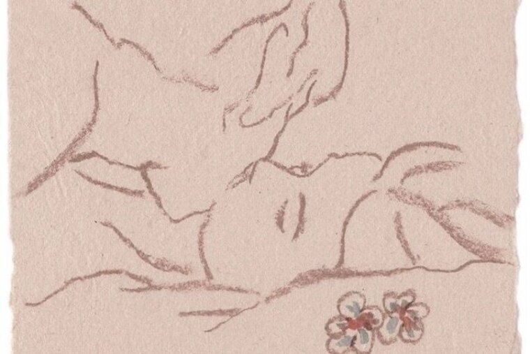 Kitty banner image