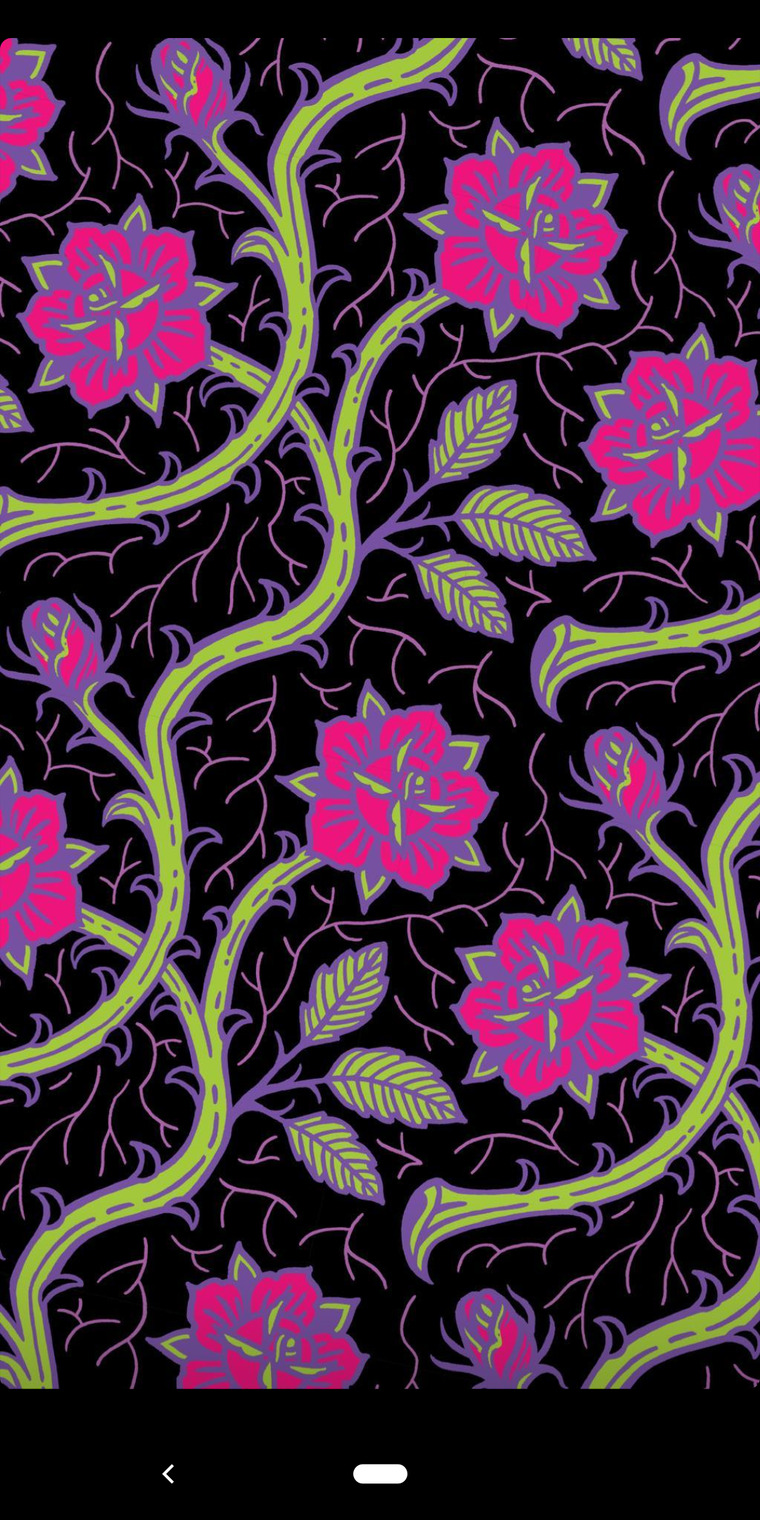 Kitty cover image