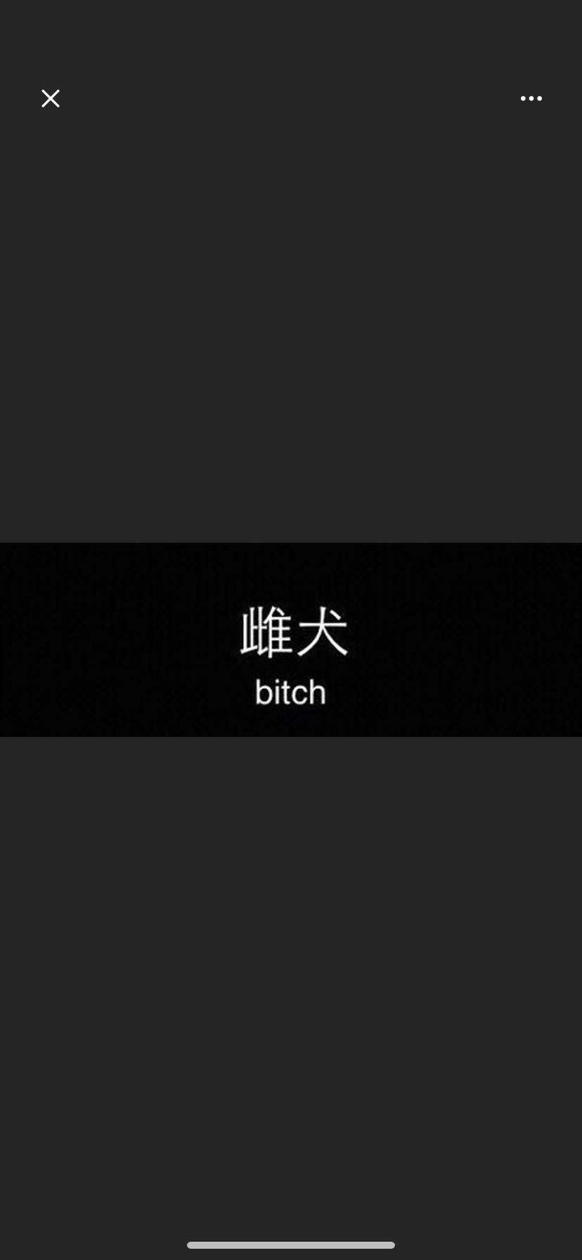 Kitty banner image