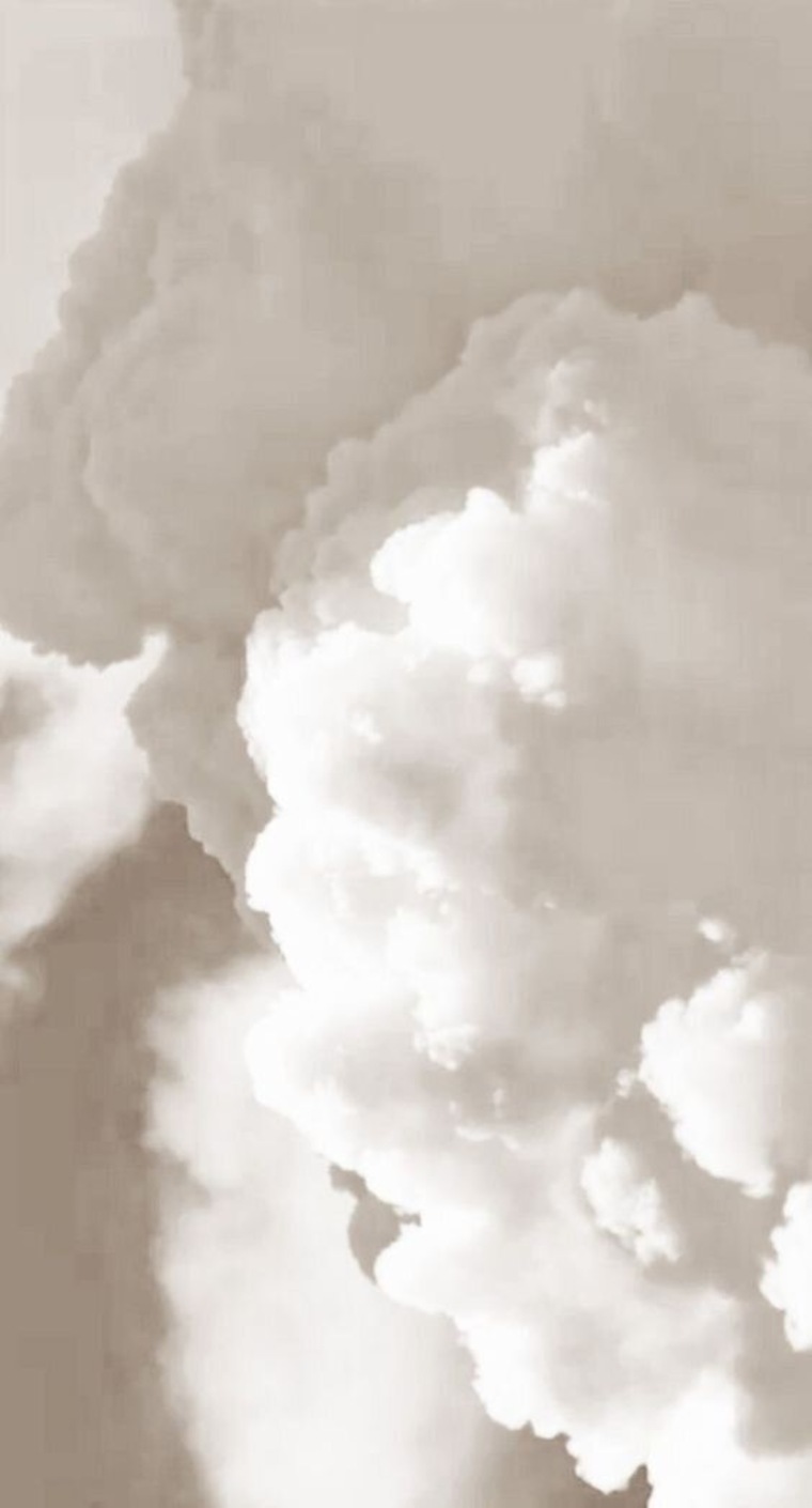 Abbey Tomm banner image