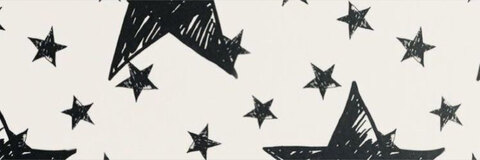 Ayden cover image