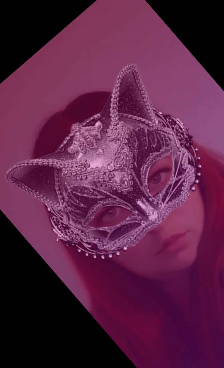 Rose Kitty cover image