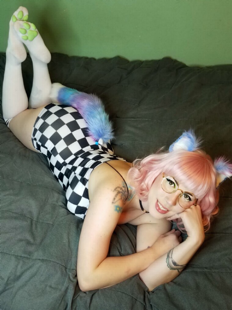 Kittyinstitches cover image