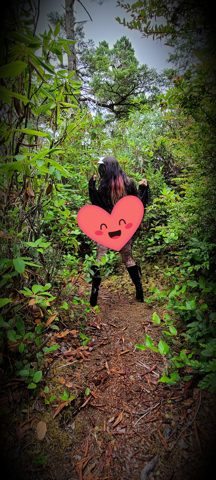Kait banner image