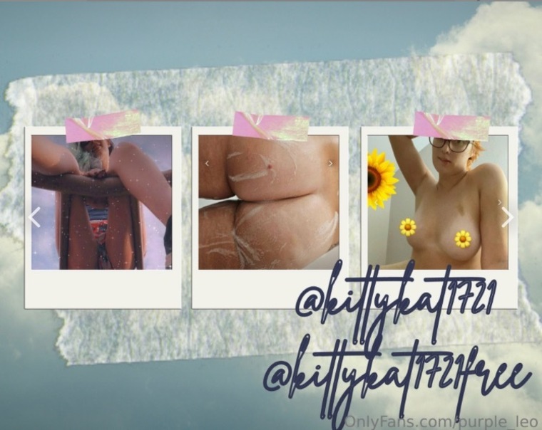 Kitty Kat banner image