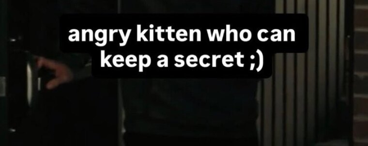Kitty ๐ banner image