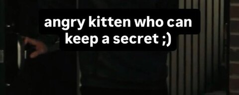 Kitty 😈 cover image