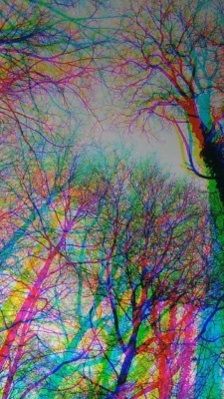 Kitty Blu banner image