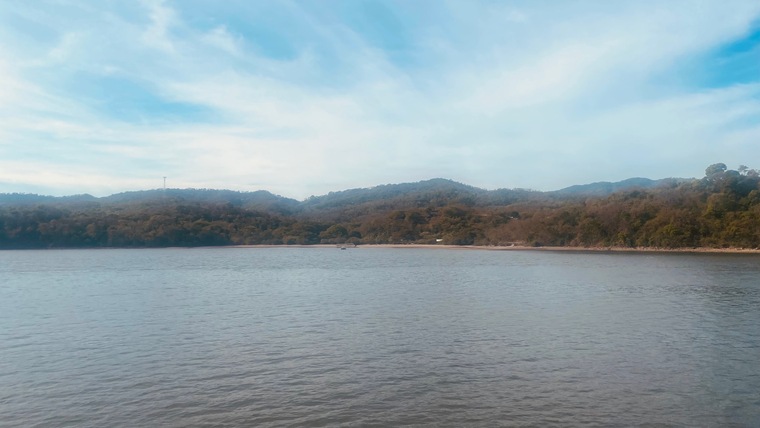 MaggieCR cover image