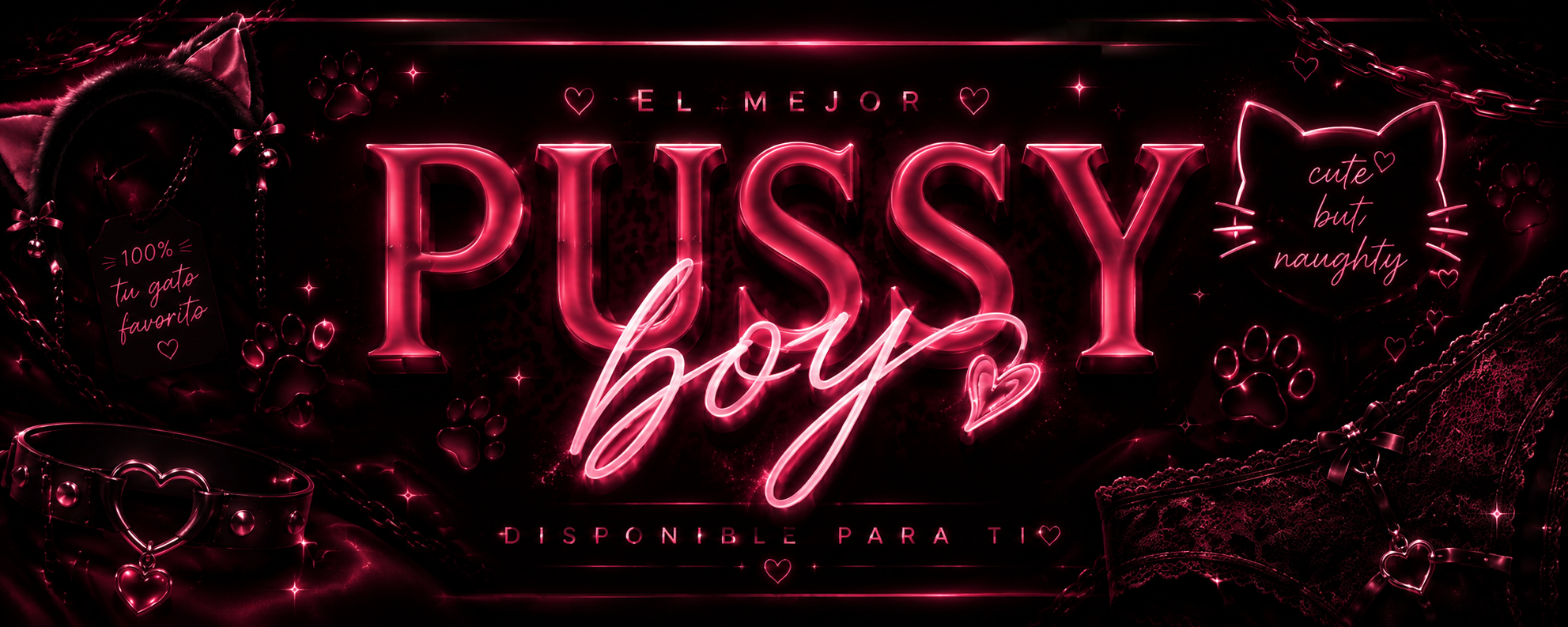 Pussy.boy banner image