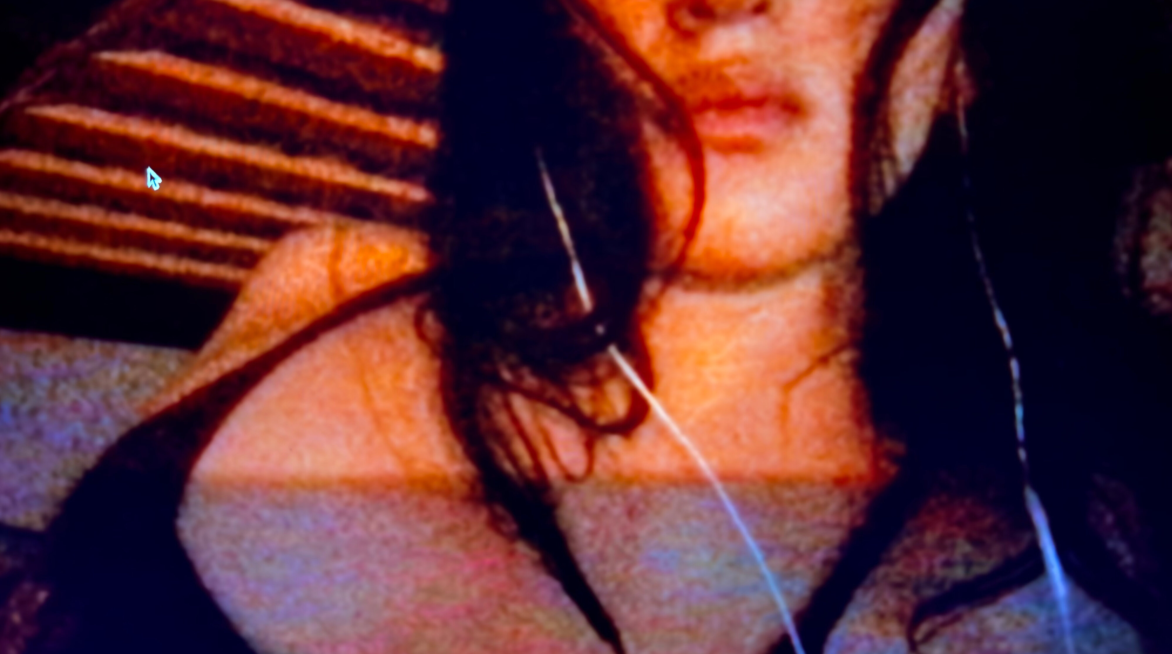 ⋆˚*✩Kitty Rowan✩*˚⋆ banner image