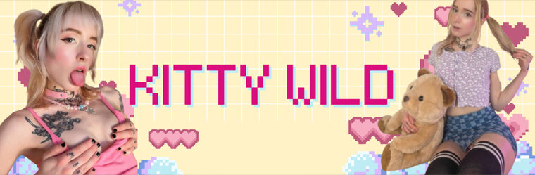 Kitty Wild cover image