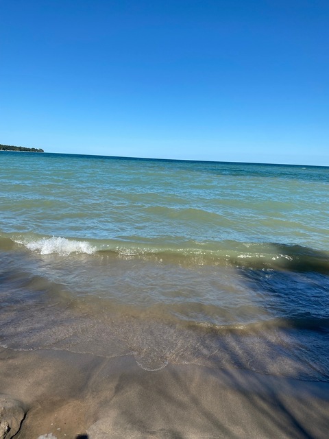 Kiwi11426 cover image