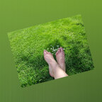 KiwiFootsies avatar