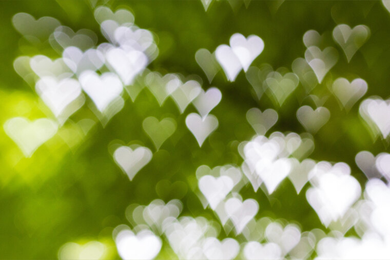 KiwiFootsies banner image